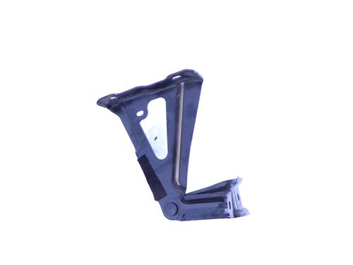 Hinge/Door check strap TOYOTA PRIUS (_W3_) 1.8 Hybrid (ZVW3_) | BP30238035C146