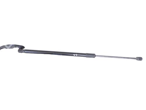 Used Tailgate lift support VW PASSAT B8 Variant (3G5, CB5) 2.0 TDI (150 hp) 30268283