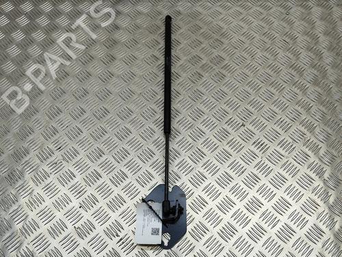 Tailgate lift support JAGUAR XJ (X351) 3.0 SCV6 | BP19501665C138