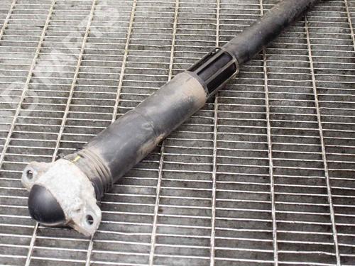 Used Left rear shock absorber VW TIGUAN (AD1, AX1) 2.0 TDI (150 hp) 6748831