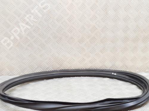 Rubber door seal AUDI Q5 (FYB, FYG) 40 TDI Mild Hybrid quattro | BP27764529C142 