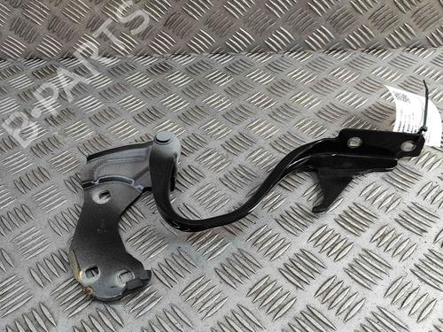 Hinge/Door check strap FIAT 500 (312_) 1.0 Mild Hybrid (312.AYD1B) | BP29373383C146 