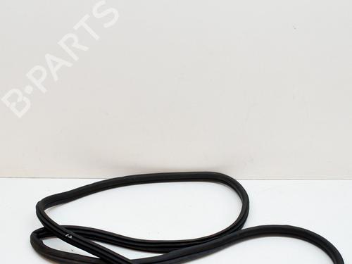 Used Rubber door seal BMW X3 (G01, F97, G08) xDrive 20 d (190 hp) 14624759