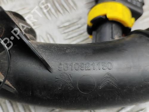 Pipe PEUGEOT 508 SW II (FC_, FJ_, F4_) 1.5 BlueHDi 130 | BP32369736M125