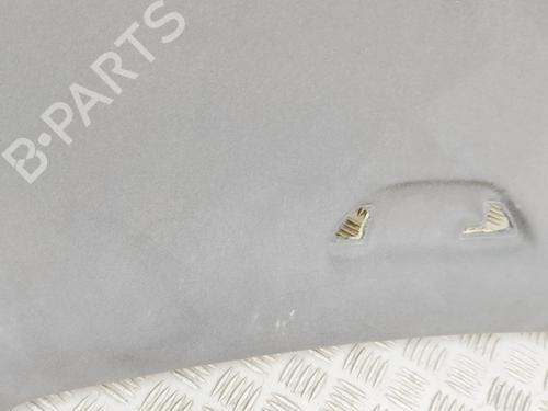 Interiør taket VW PASSAT B7 (362) 2.0 TDI | BP31748576I12 