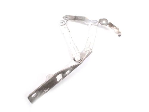 Hinge/Door check strap AUDI TT (8J3) 2.0 TFSI | BP30222191C146 