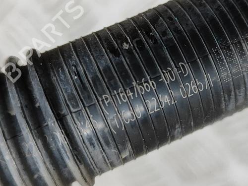 Pipe TESLA MODEL 3 (5YJ3) EV AWD | BP27768596M125 