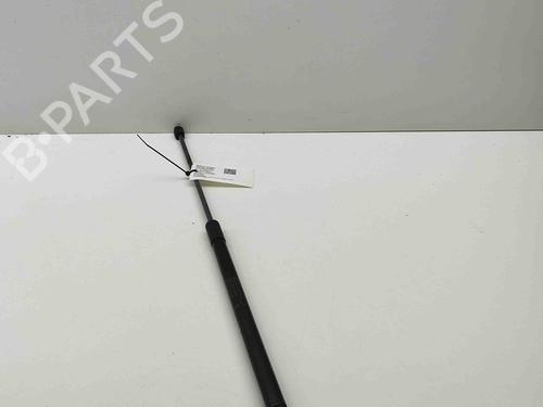 Tailgate lift support LAND ROVER RANGE ROVER EVOQUE (L538) 2.0 D 4x4 | BP28434309C138