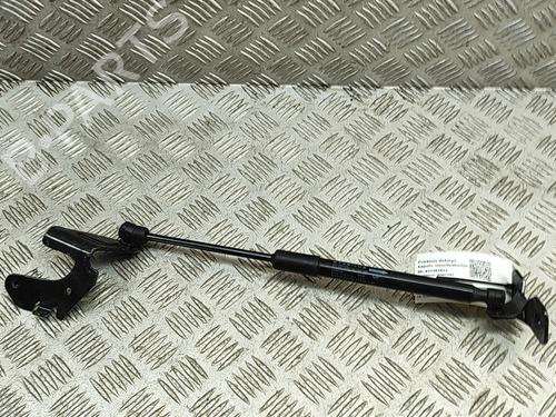 Used Hood lift support TESLA MODEL 3 (5YJ3) EV AWD (441 hp) 27799353
