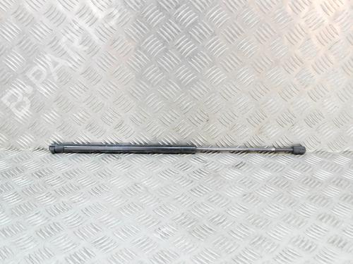 Gasdæmper bagklap LAND ROVER RANGE ROVER SPORT I (L320) 2.7 D 4x4 (190 hp) 14638034