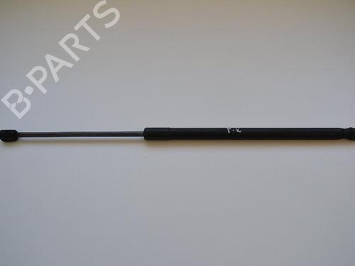 Used Hood lift support VW TOUAREG (7LA, 7L6, 7L7) 2.5 R5 TDI (174 hp) 30239944