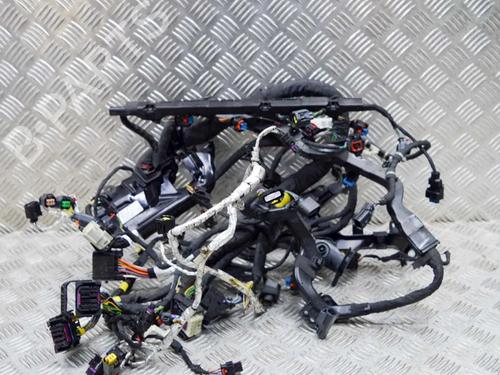 Wiring harness LAND ROVER DISCOVERY V (L462) D300 MHEV 4x4 | BP28430438E16