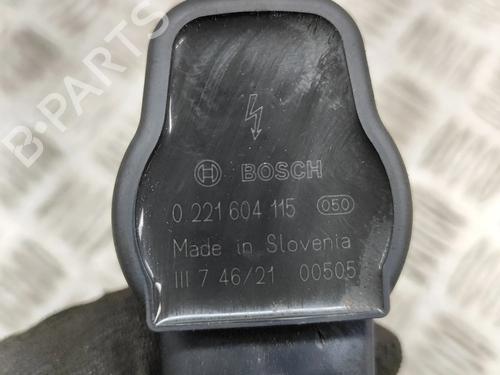 Ignition coil AUDI A6 C6 (4F2) 2.0 TFSI | BP16258926M94 