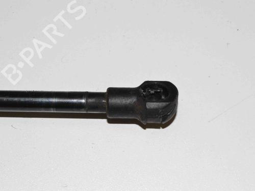 Hood lift support BMW 3 Coupe (E92) 335 d | BP30268831C139