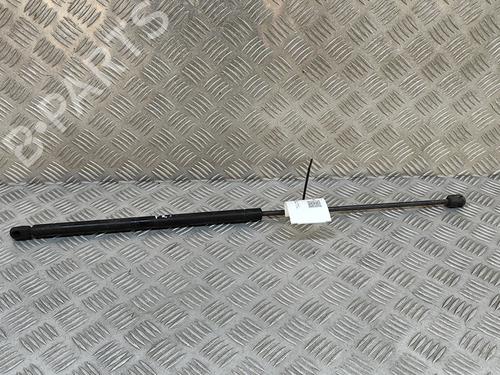 Used Hood lift support MERCEDES-BENZ S-CLASS (W220) S 500 (220.075, 220.175, 220.875) (306 hp) 25614661
