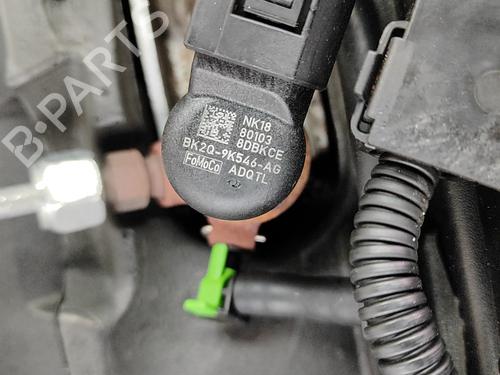 Engine FORD TRANSIT CUSTOM V362 Bus (F3) 2.2 TDCi | BP36644373M1 - Image 9