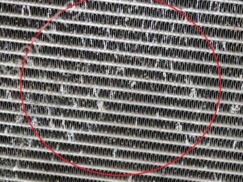 Water radiator BMW 7 (E65, E66, E67) 730 Ld | BP12175363M31 - Image 9