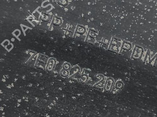 Underbody protection VW TRANSPORTER T6 Van (SGA, SGH, SHA, SHH) 2.0 TDI 4motion | BP18164929M92 