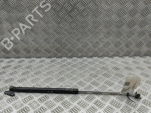 Tailgate lift support TOYOTA LAND CRUISER 100 (_J1_) 4.2 TD (HDJ100_, HDJ100) | BP30257547C138