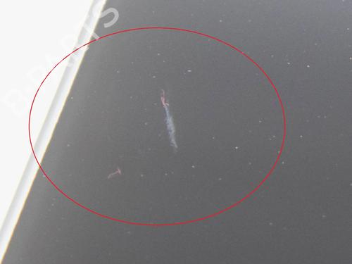 Andre TESLA MODEL 3 (5YJ3) EV | BP27751529O1