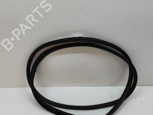 Used Rubber door seal VW AMAROK (2HA, 2HB, S1B, S6B, S7A, S7B, AGD) 2.0 BiTDI 4motion (180 hp) 24141348
