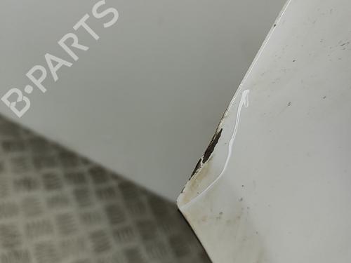 Drzwi przednie lewe VW TRANSPORTER T6 Van (SGA, SGH, SHA, SHH) 2.0 TDI | BP29920481C2