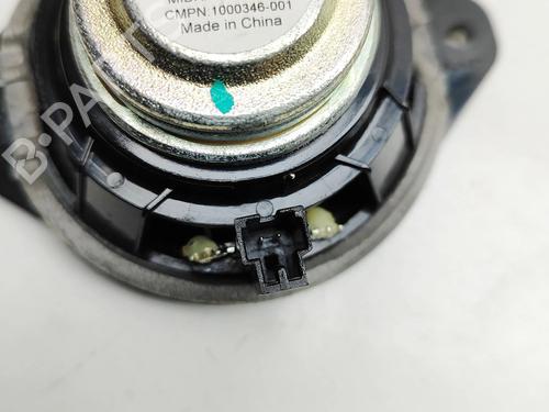 Speaker TESLA MODEL S (5YJS) P100D AWD | BP32239025E2 