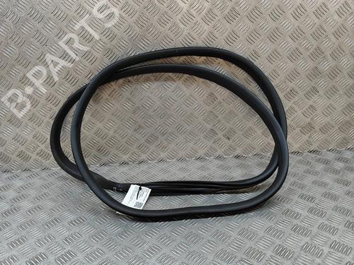 rubber-door-seal-renault-austral-2022-29007686 main image