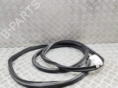 Gummiliste BMW X6 (E71, E72) xDrive 40 d | BP30130996C142 - Image 3
