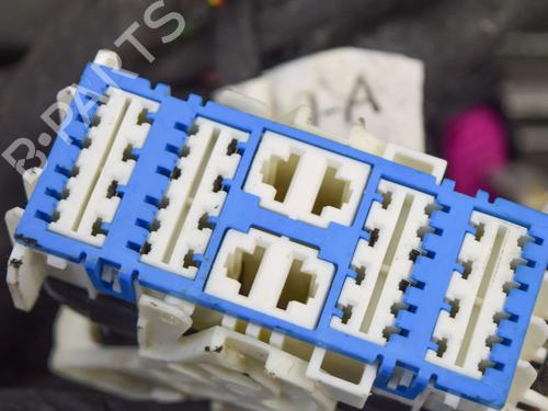 Wiring harness TESLA MODEL S (5YJS) 75D AWD | BP20233102E16 