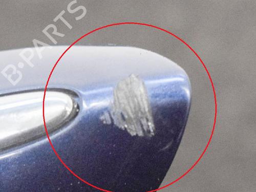 Rear left exterior door handle BMW 5 Touring (F11) 530 d | BP6757332C130