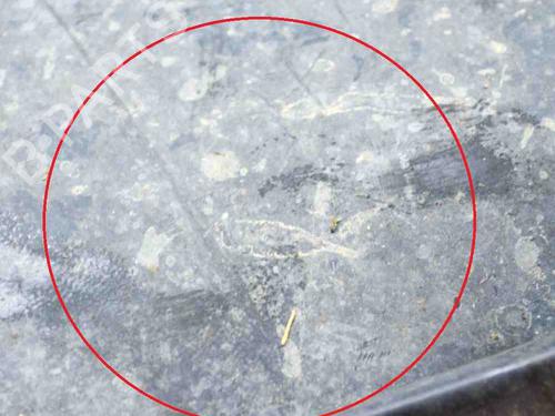 Other MITSUBISHI GTO Coupe (Z1_A) 3.0 AWD (Z16A) | BP30130442O1 