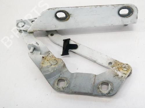 Hinge/Door check strap LAND ROVER RANGE ROVER EVOQUE (L538) 2.2 D 4x4 | BP14658664C146 