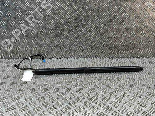 Tailgate lift support PORSCHE PANAMERA (970) 3.0 D | BP29487122C138 