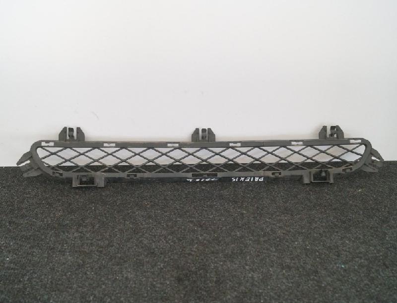 Front grille BMW X3 (F25) xDrive 35 i 6731763 | B-Parts