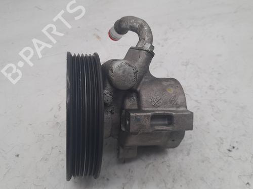 Steering pump CHEVROLET CAPTIVA (C100, C140)  | BP25315873M99 