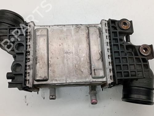 Intercooler VW CRAFTER Platform/Chassis (SZ_)  | BP29489779M30 