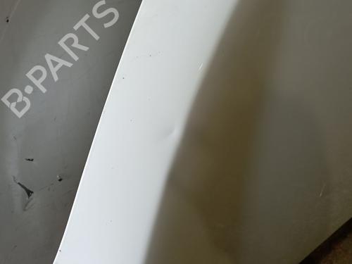 Hood DACIA LODGY (JS_) 1.5 Blue dCi 115 (JSJT) | BP29862003C1 