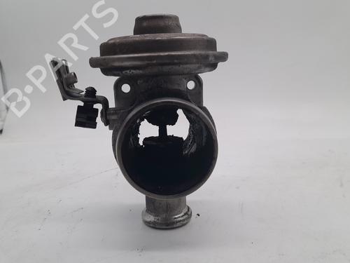 Egr BMW 3 (E46) 320 d | BP25314840M69 