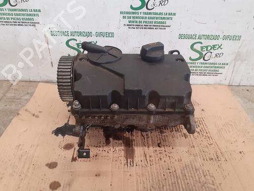 Used Cylinder head SEAT IBIZA III (6L1) [2002-2009]  25329365
