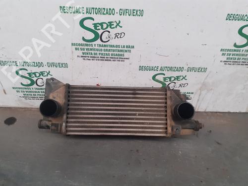Intercooler LAND ROVER FREELANDER I (L314) [1998-2006]  25320306
