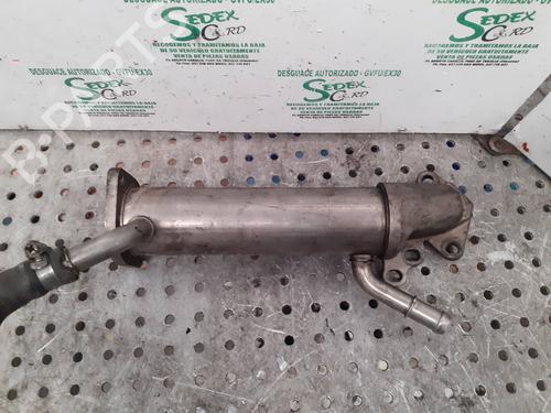 Used Egr Egr 36837652 36837652