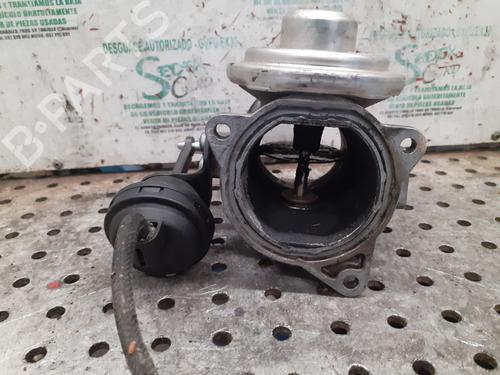 Egr SEAT ALHAMBRA (7V8, 7V9)  | BP25316041M69 