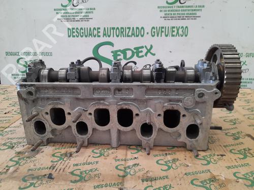 Cylinder head SEAT IBIZA II (6K1)  | BP25329172M5 