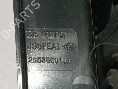 Left taillight RENAULT SCÉNIC III (JZ0/1_)  | BP25321943C34 