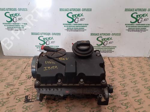 Used Cylinder head SEAT IBIZA III (6L1) [2002-2009]  25329385