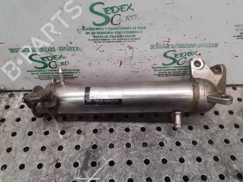 Used Egr RENAULT VEL SATIS (BJ0_) [2002-2025]  25314902