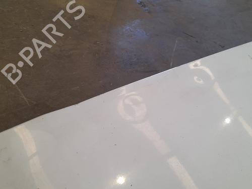 Right tailgate RENAULT MASTER III Van (FV) 2.3 dCi 165 FWD (FV0P, FV0U, FV11, FV12, FV1E) | BP29633468C77 