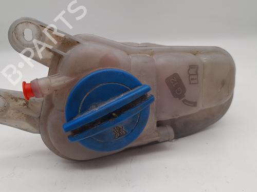 Expansion tank AUDI A4 B8 (8K2)  | BP25314355C120 