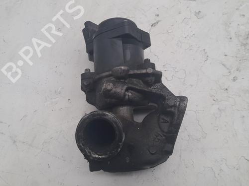 Egr FORD FIESTA VI (CB1, CCN) 1.4 TDCi | BP25315636M69 